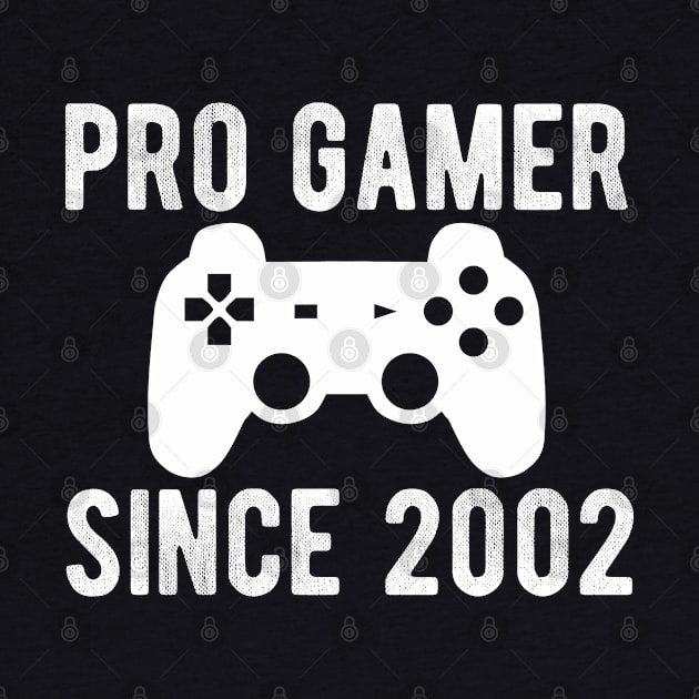 Pro Gamer Since 2002 PC VR Console Gamers by Color Fluffy